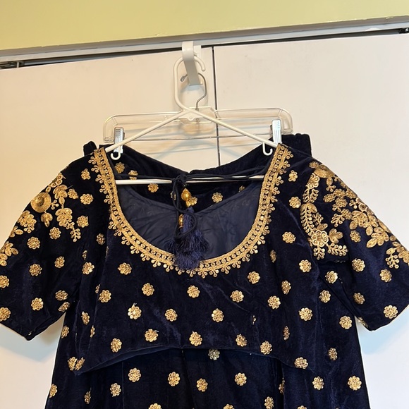 Blue velvet heavy gold embroidery Lehenga Choli - Picture 10 of 15